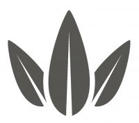 plant icon