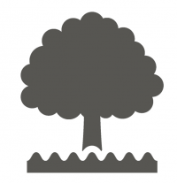 tree icon